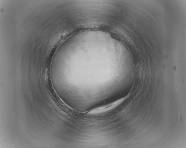 X0000070360692200607072103