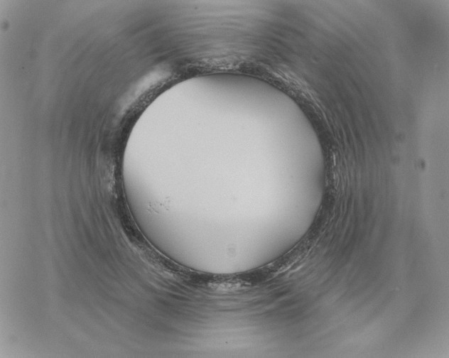 X0000070360693200607072103