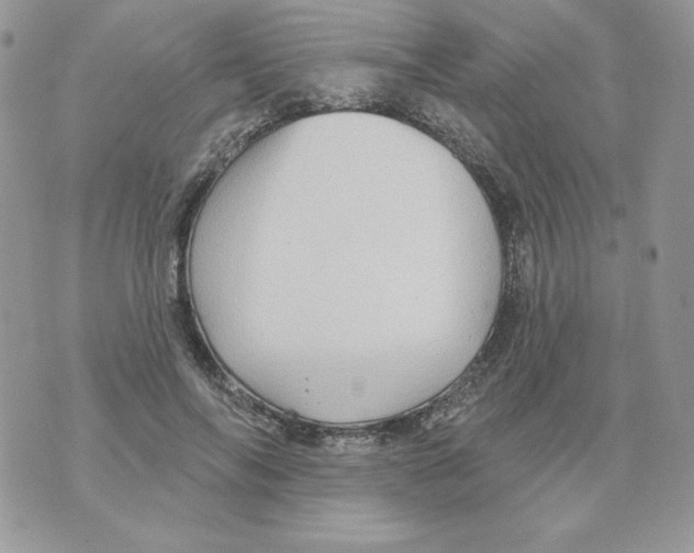 X0000070360694200607072103