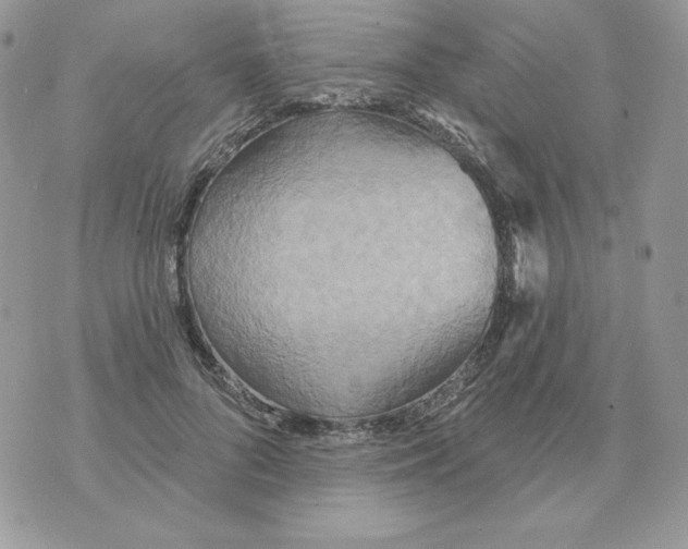 X0000070360696200607072103