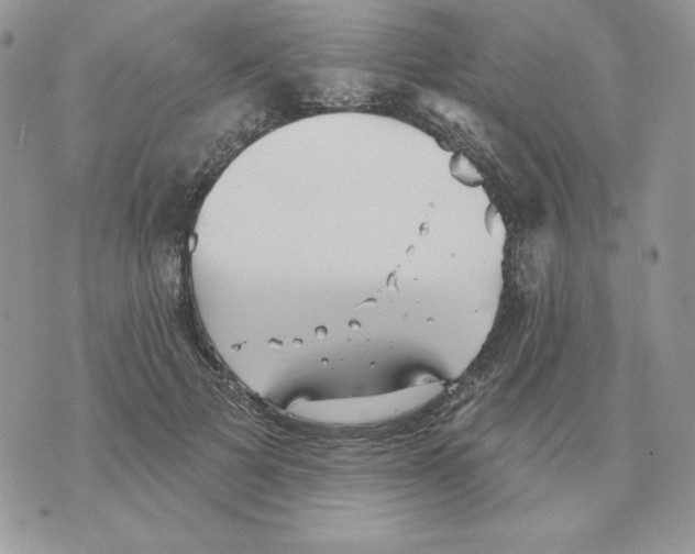 X0000070360697200607072103