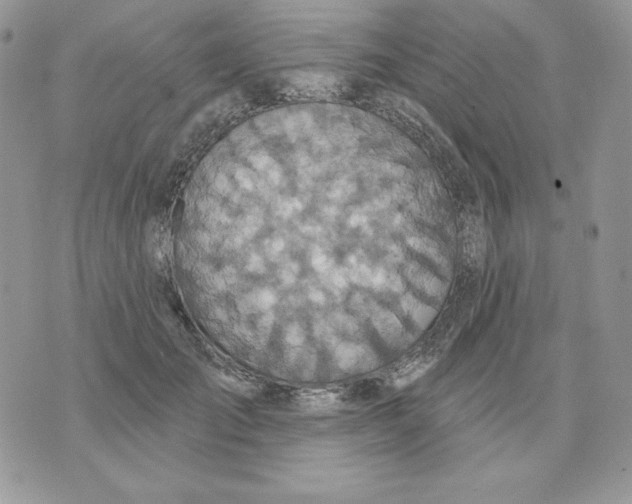 X0000070360701200607072103