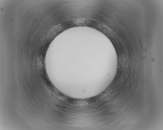 X0000070360702200607072103