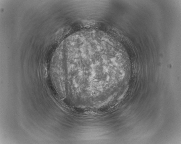 X0000070360703200607072103