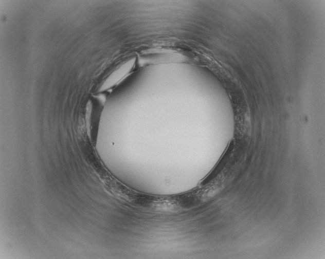 X0000070360704200607072103