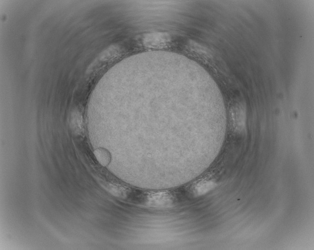 X0000070360705200607072103