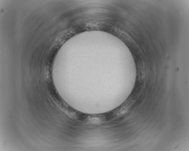 X0000070360706200607072103