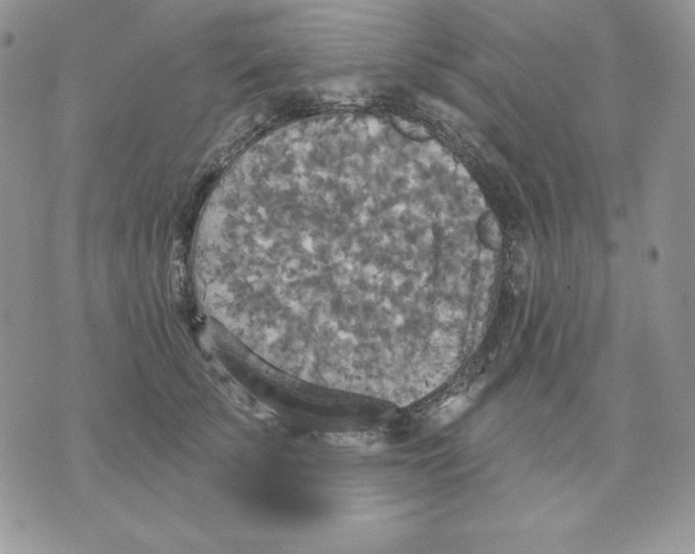 X0000070360707200607072103