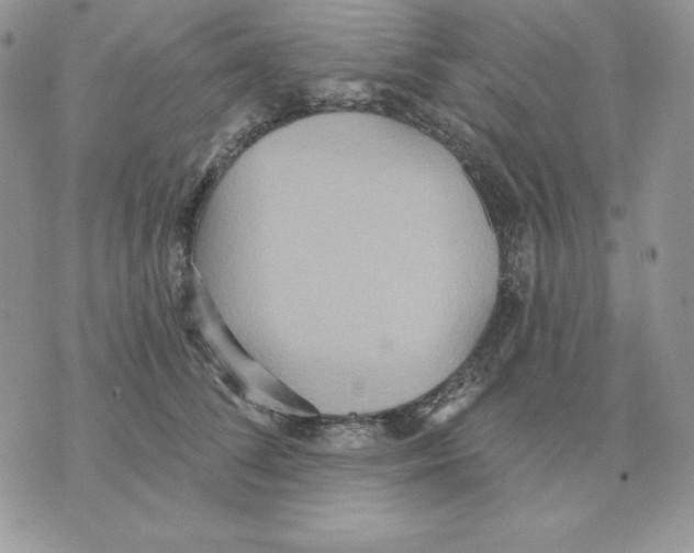 X0000070360708200607072103