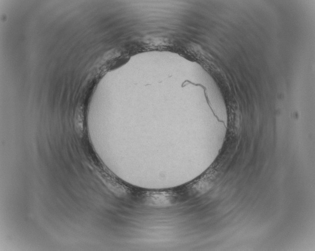 X0000070360710200607072103