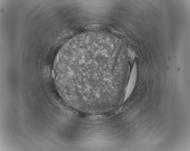 X0000070360711200607072103