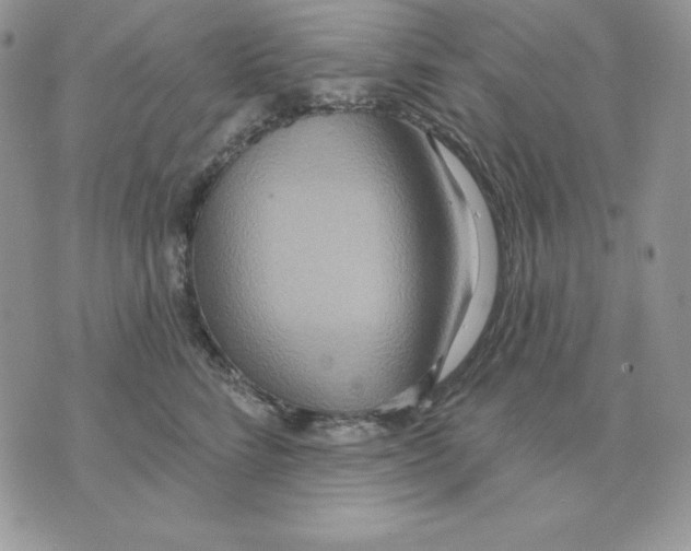 X0000070360712200607072103