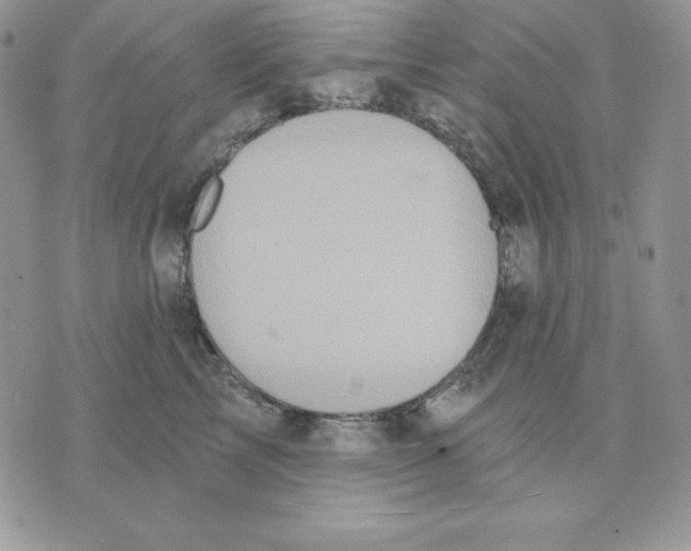 X0000070360713200607072103