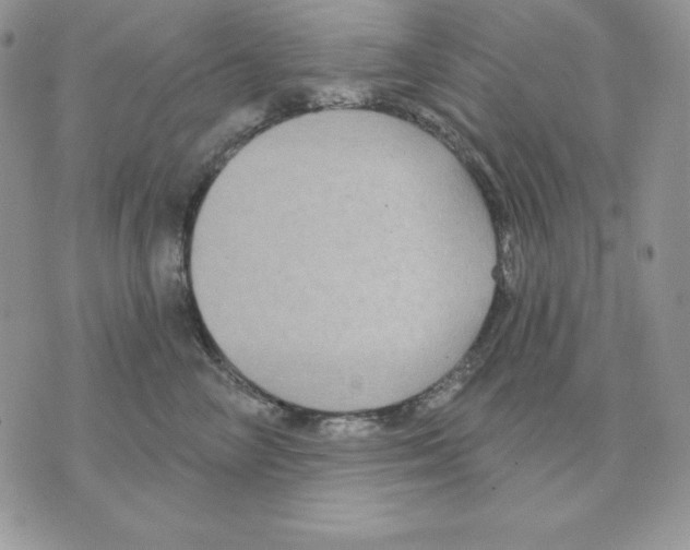 X0000070360714200607072103