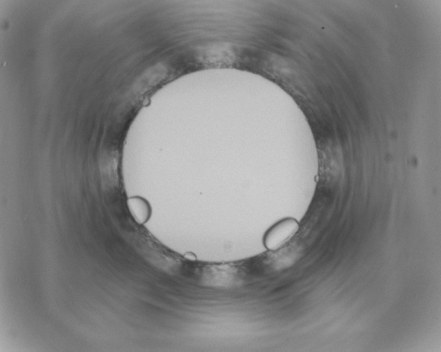 X0000070360717200607072103