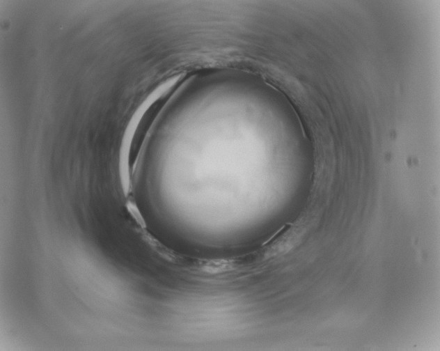 X0000070360720200607072103