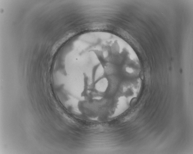 X0000070360721200607072102