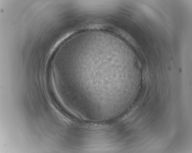 X0000070360722200607072102