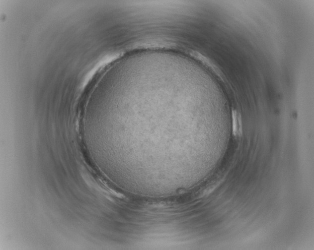 X0000070360723200607072102