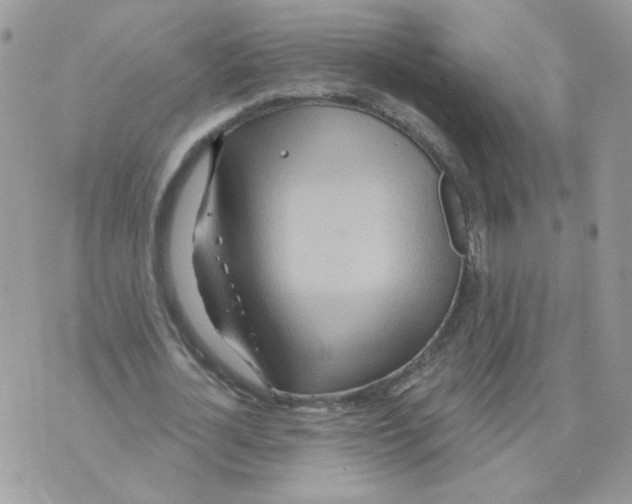 X0000070360724200607072102