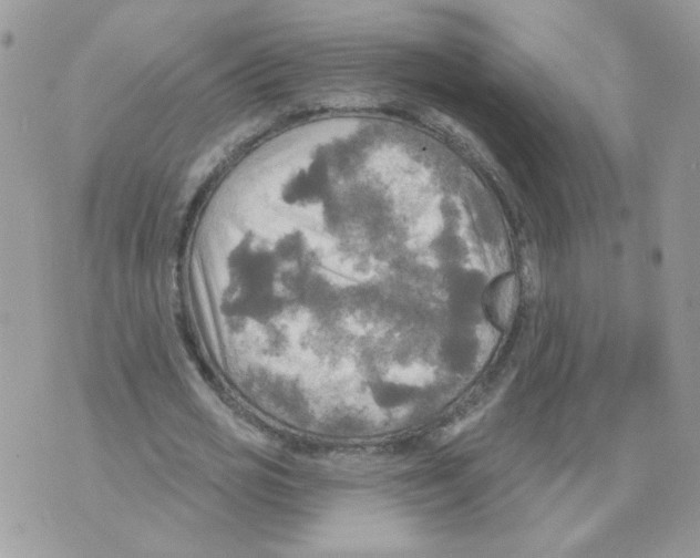 X0000070360725200607072102