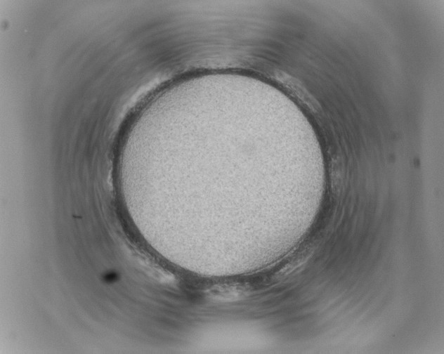 X0000070360727200607072102