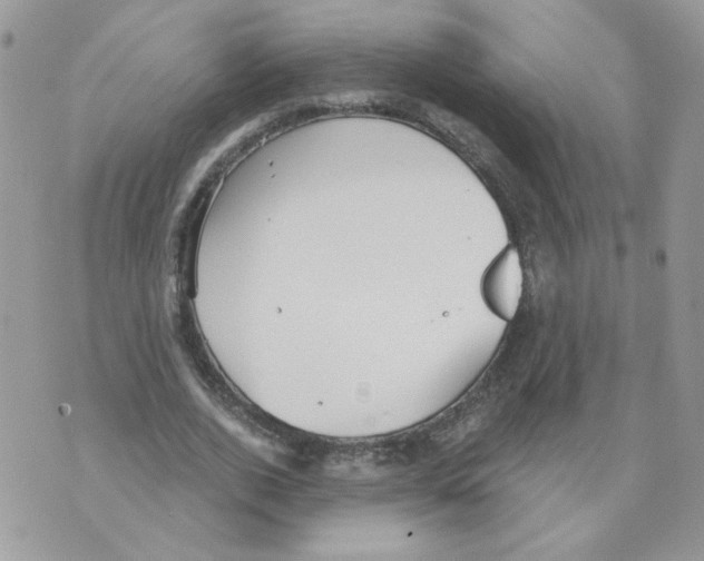 X0000070360728200607072102