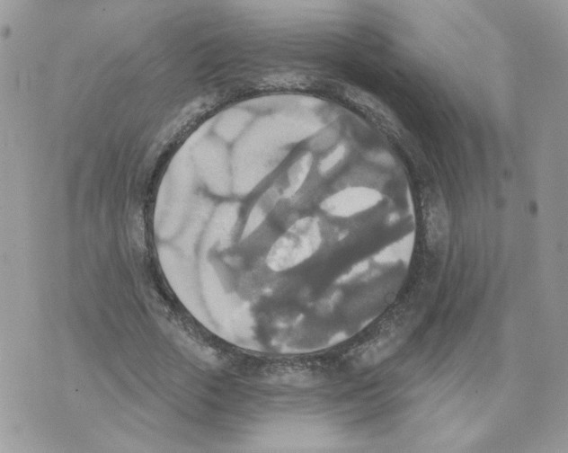 X0000070360729200607072102