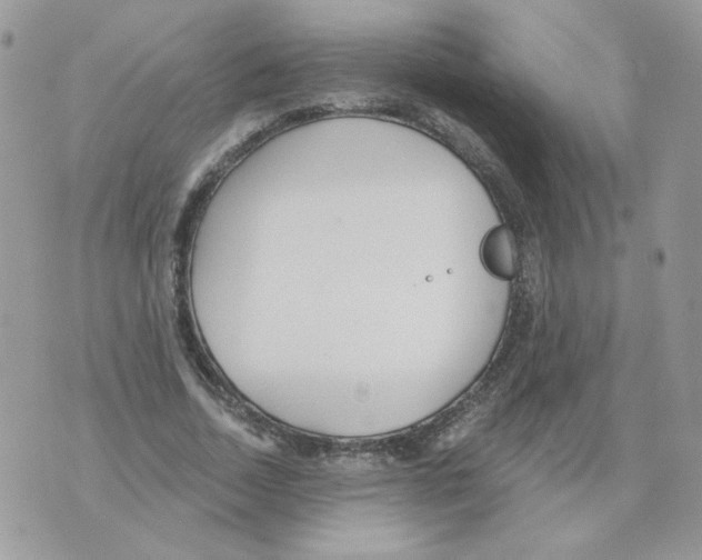 X0000070360730200607072102