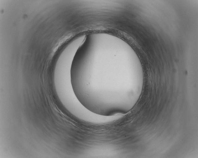 X0000070360731200607072102