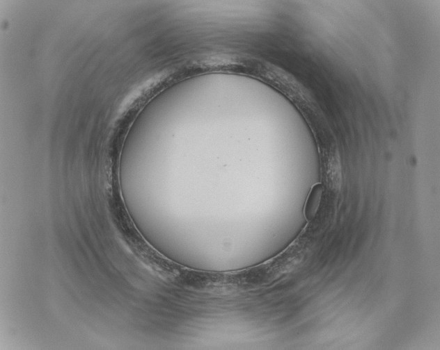 X0000070360732200607072102