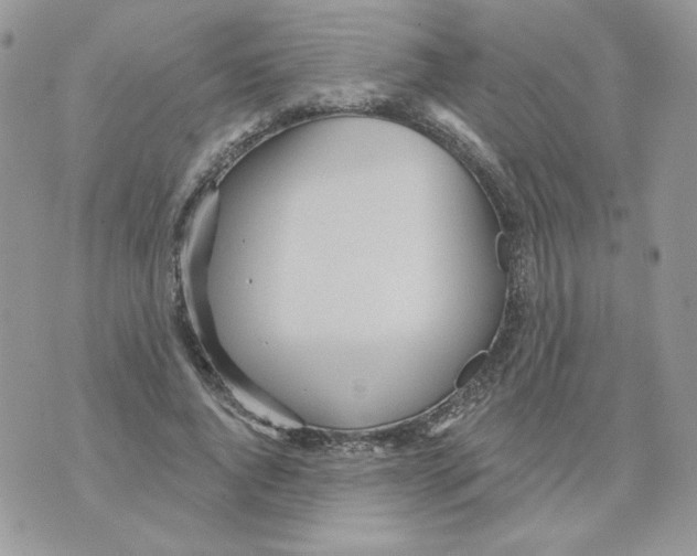 X0000070360736200607072102