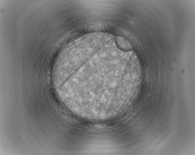 X0000070360737200607072102