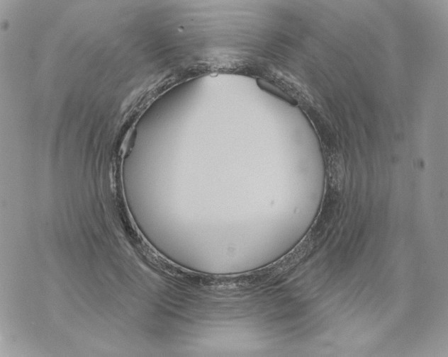 X0000070360740200607072102