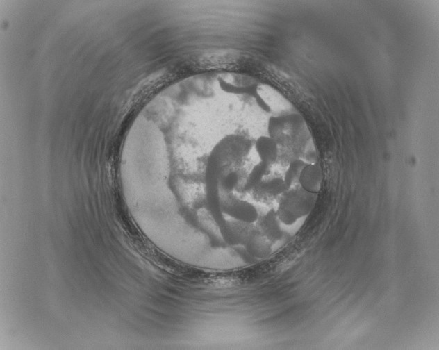 X0000070360741200607072102