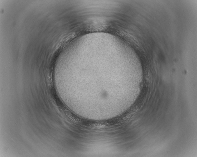 X0000070360743200607072103