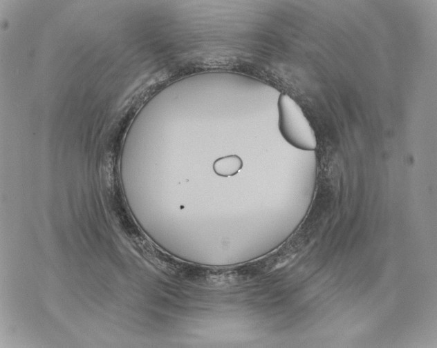 X0000070360744200607072103