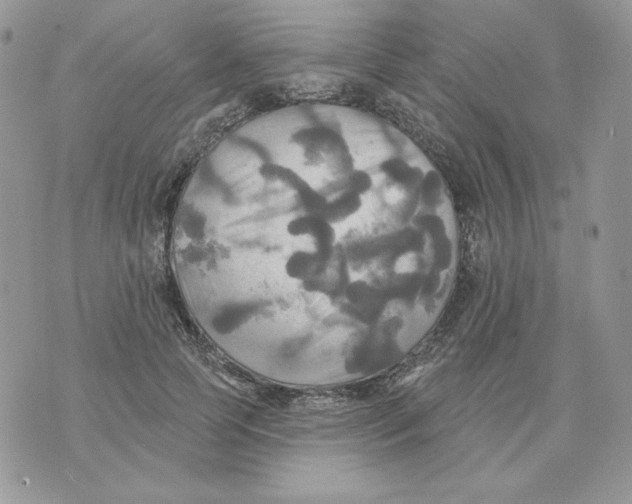 X0000070360745200607072103