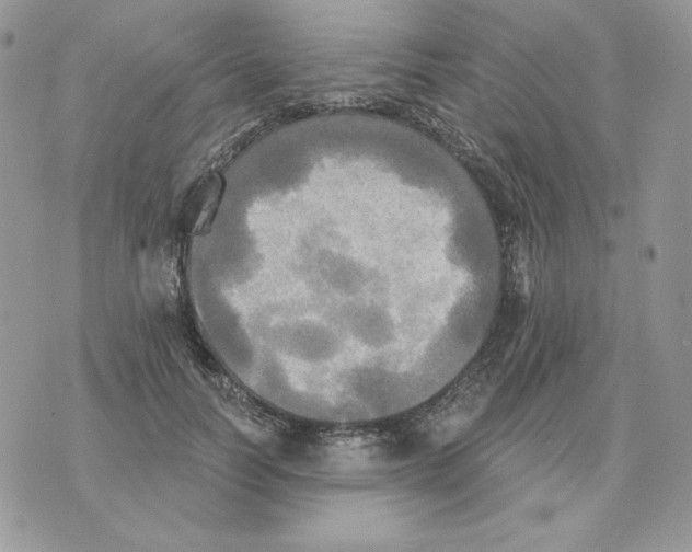 X0000070360746200607072103