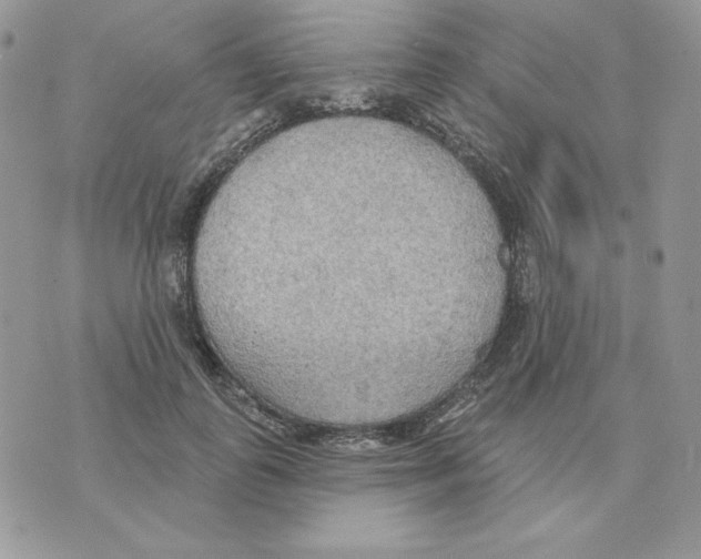 X0000070360747200607072103