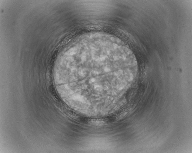 X0000070360749200607072103