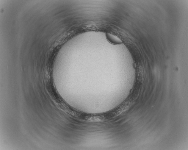 X0000070360751200607072103