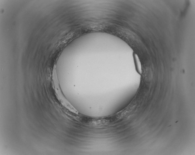 X0000070360752200607072103