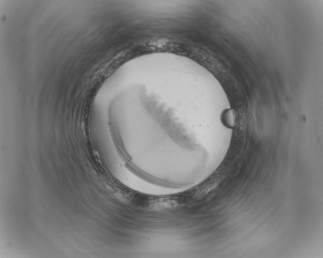 X0000070360754200607072103