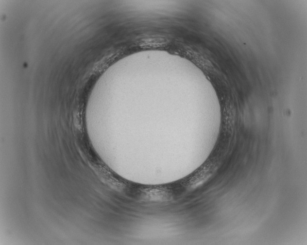 X0000070360755200607072103