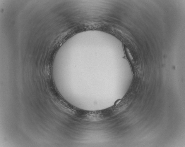 X0000070360756200607072103