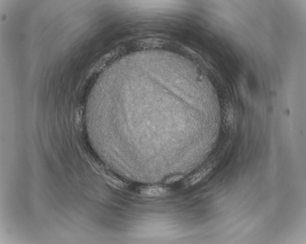 X0000070360759200607072103