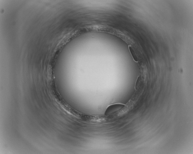 X0000070360760200607072103