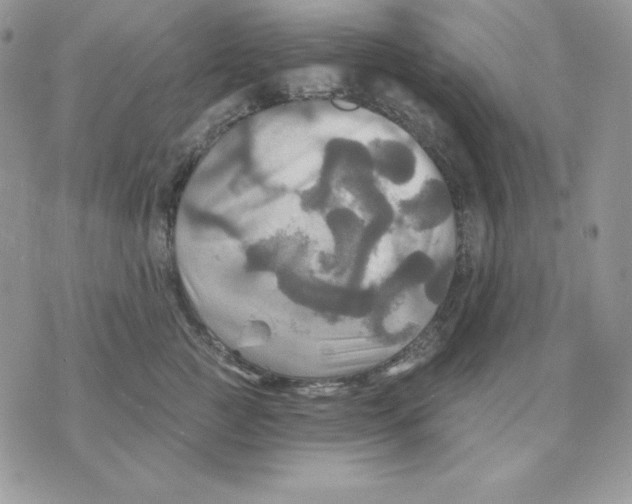 X0000070360761200607072103