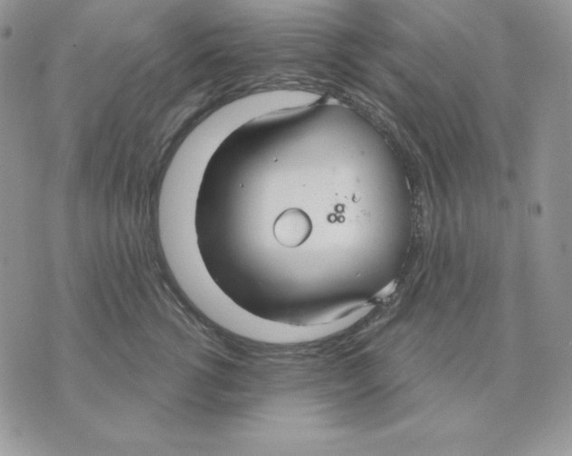 X0000070360762200607072103